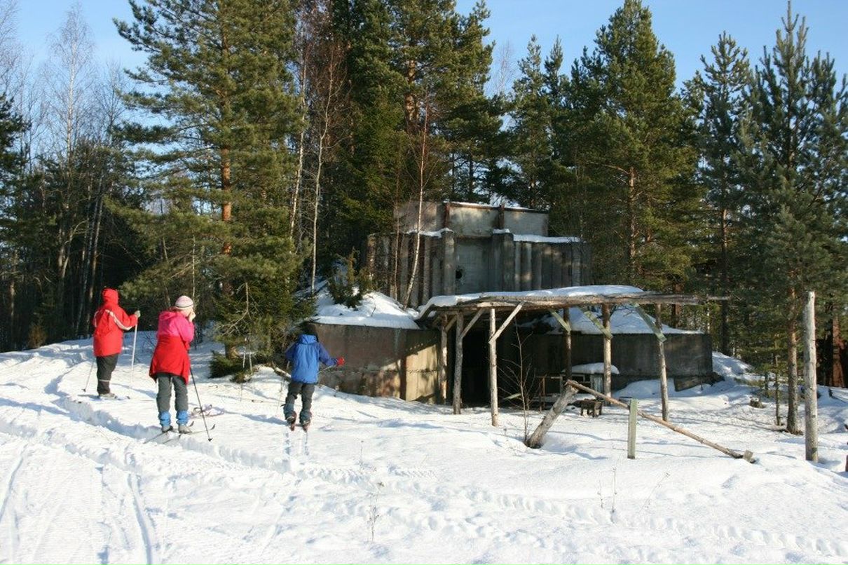 Дмитрий Лаушкин | Санкт-Петербург