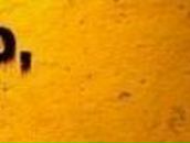 Антон Дегтярь | Иваново