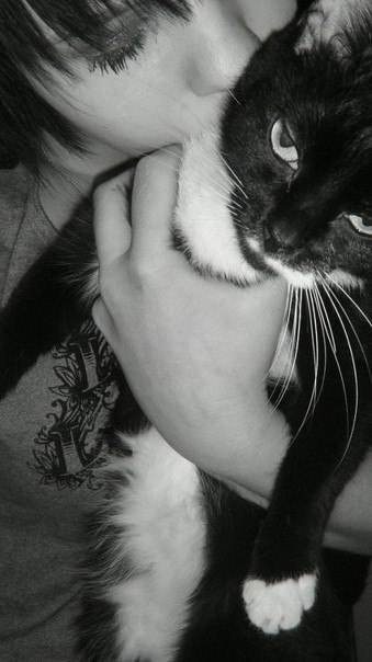 Виктория Волкова | 