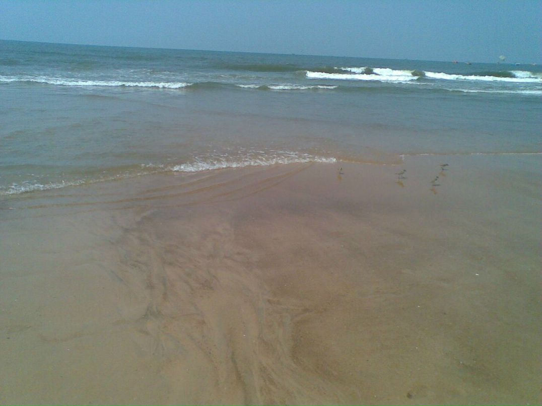 Александра Сашнева | Москва