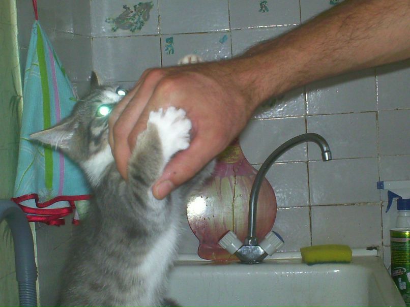 Екатерина Наседкина | Нижний Тагил