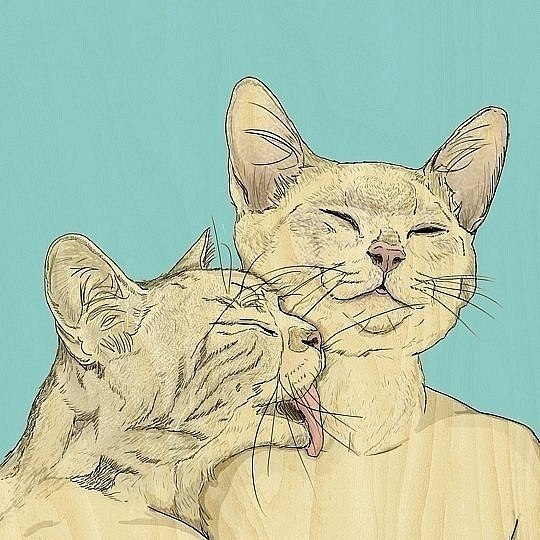 Ярослав Станецкий | Киев