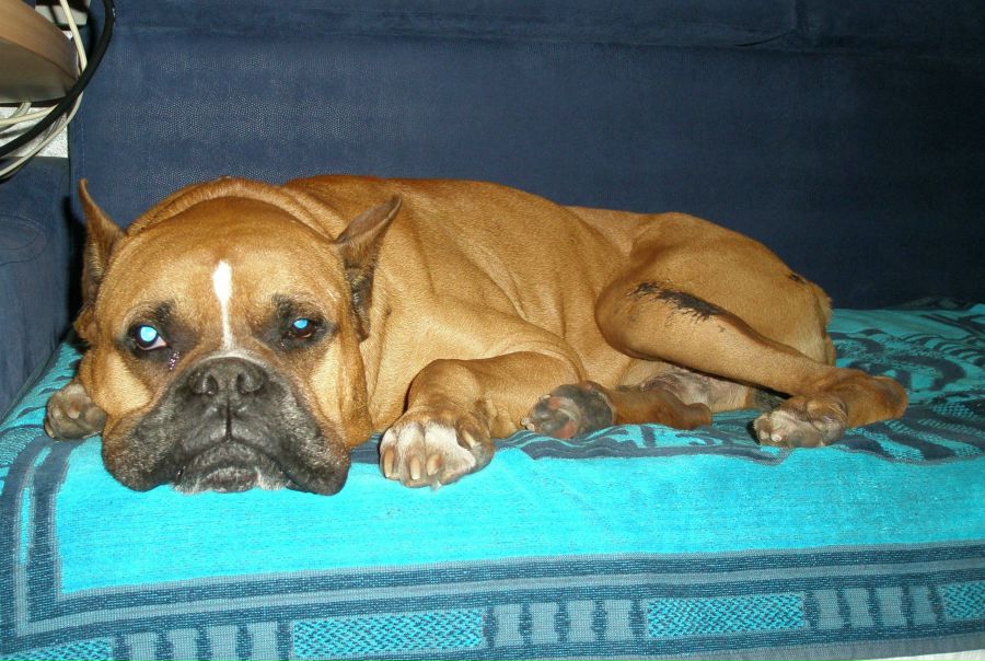 №183, Виктория Маковецкая, 19 лет, Киев №183, Виктория Маковецкая, 19 лет, Киев