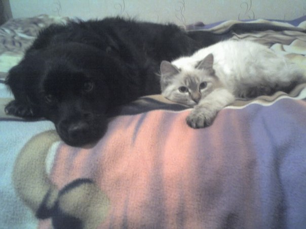 Елена Краснова | Нижневартовск