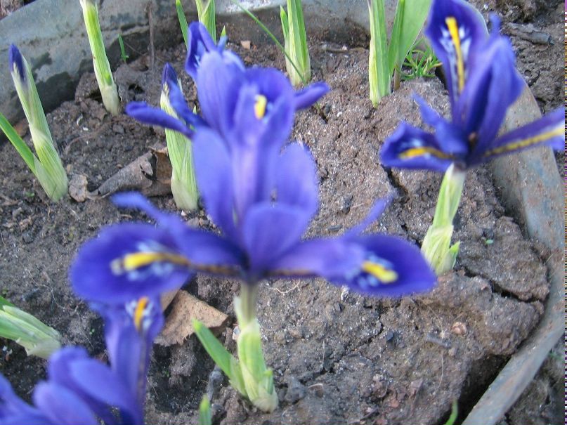 Viktoriay Elkina | Харьков