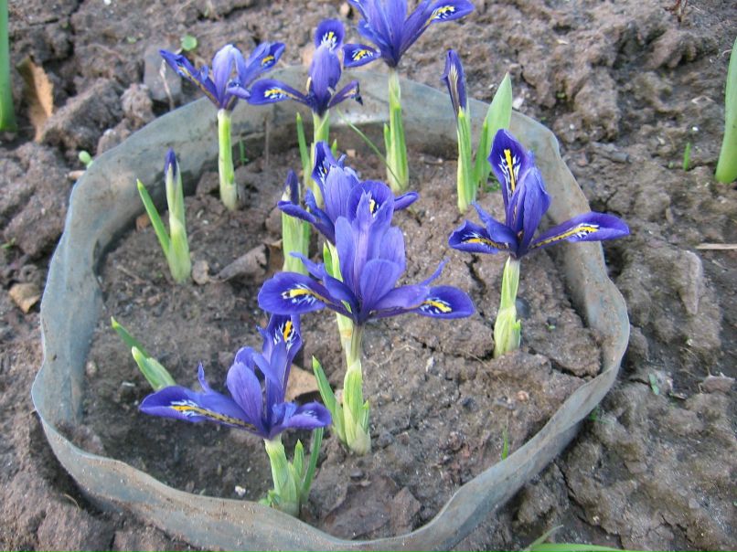 Viktoriay Elkina | Харьков