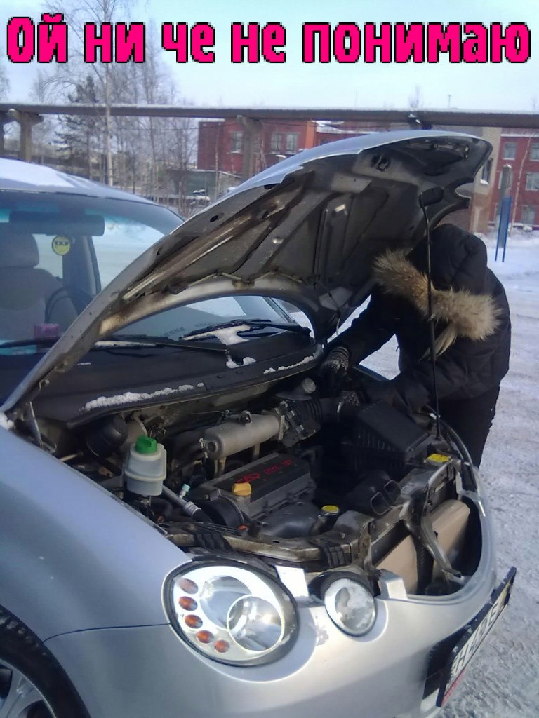 Ирина-ирэн Баранцева | Северодвинск