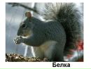 №20 Максимка Тишкин 27.11.2001: профиль, фото, статус - ВКонтакте №20 Максимка Тишкин 27.11.2001: профиль, фото, статус - ВКонтакте