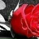 Кристина Труфанова | Житомир