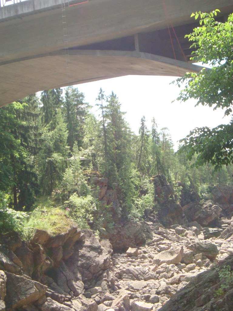 Феликс Польский | Санкт-Петербург