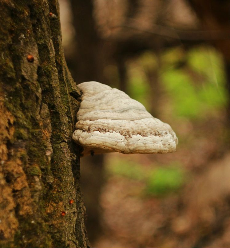 Серёжа Салий / | 