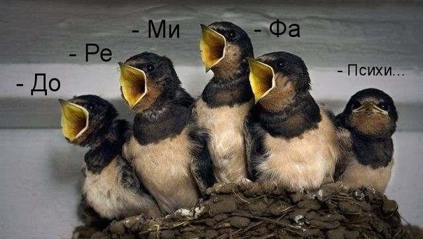 Карина Измаилова | Москва