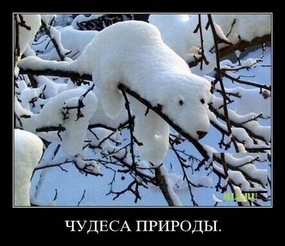 Екатерина Сквороднева | Анжеро-Судженск