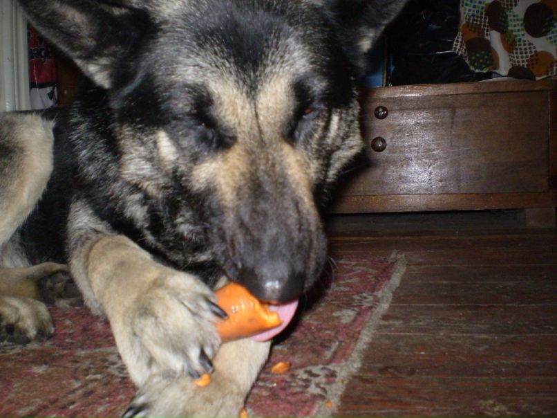 Вовчик Монах | Киев