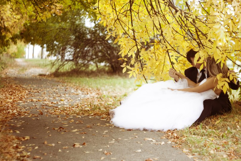 Наталія Нирко | 