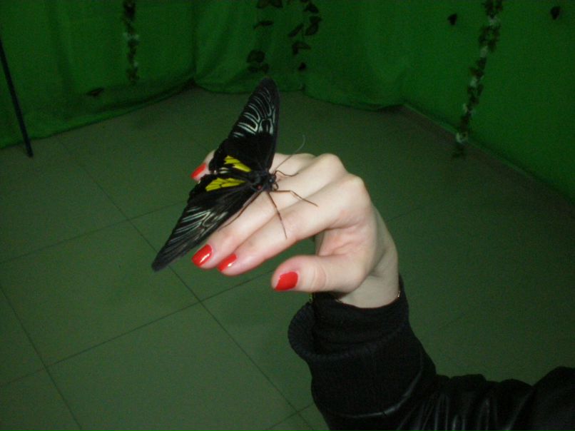 Шурочка Кошалковская .......ღ....... | Ноябрьск