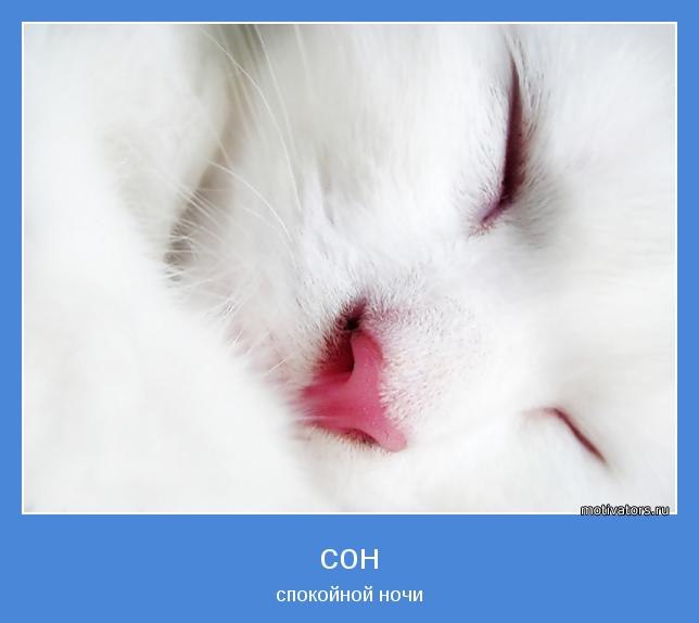 Иринка Монстр | 