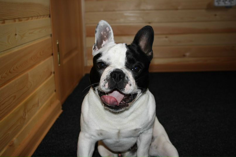 Оксана Боголюбова | 