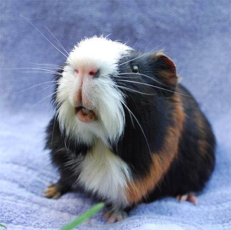 №82, Ксения Игнашина, 32 года, Юрга №82, Ксения Игнашина, 32 года, Юрга