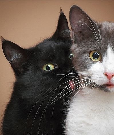 Олечка Севастьянова | Сумы