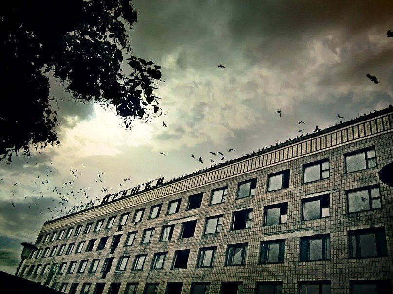 Ирина Тимощук ...[и⊥ʎdʞ ин ʞɐʞ ] | 