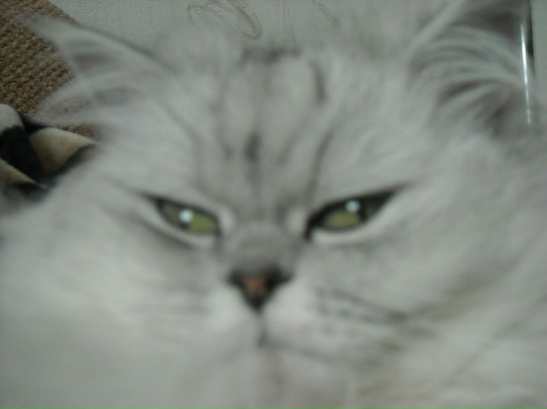 Леночка Приступа | Киев