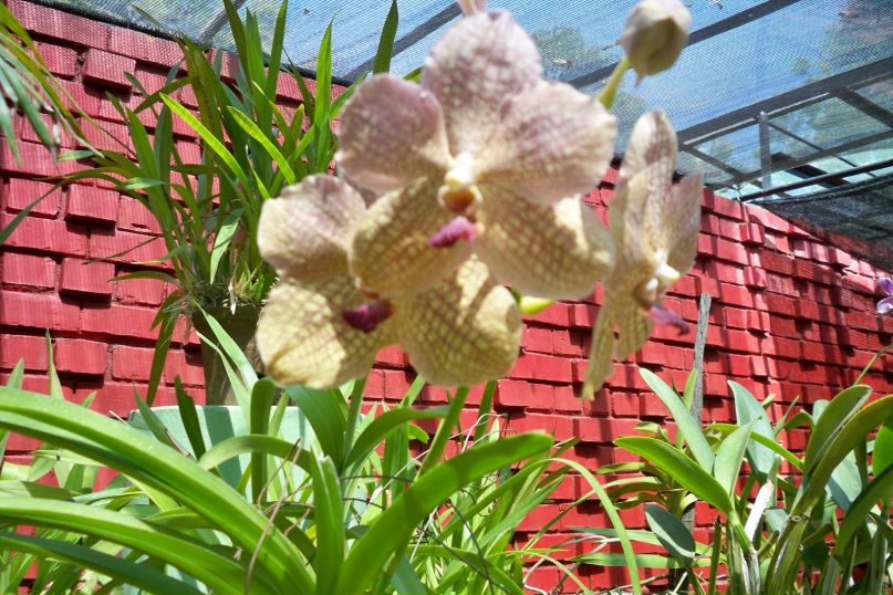 Елена Левченко | Бердянск