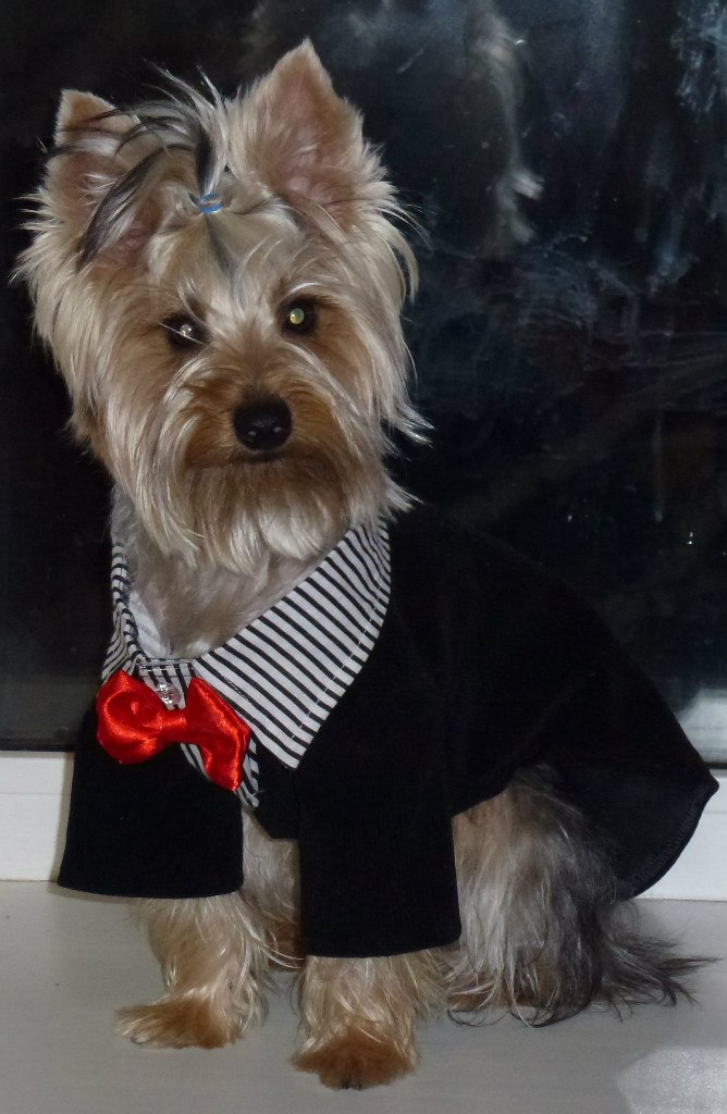 Алёна Михайлова | Пермь