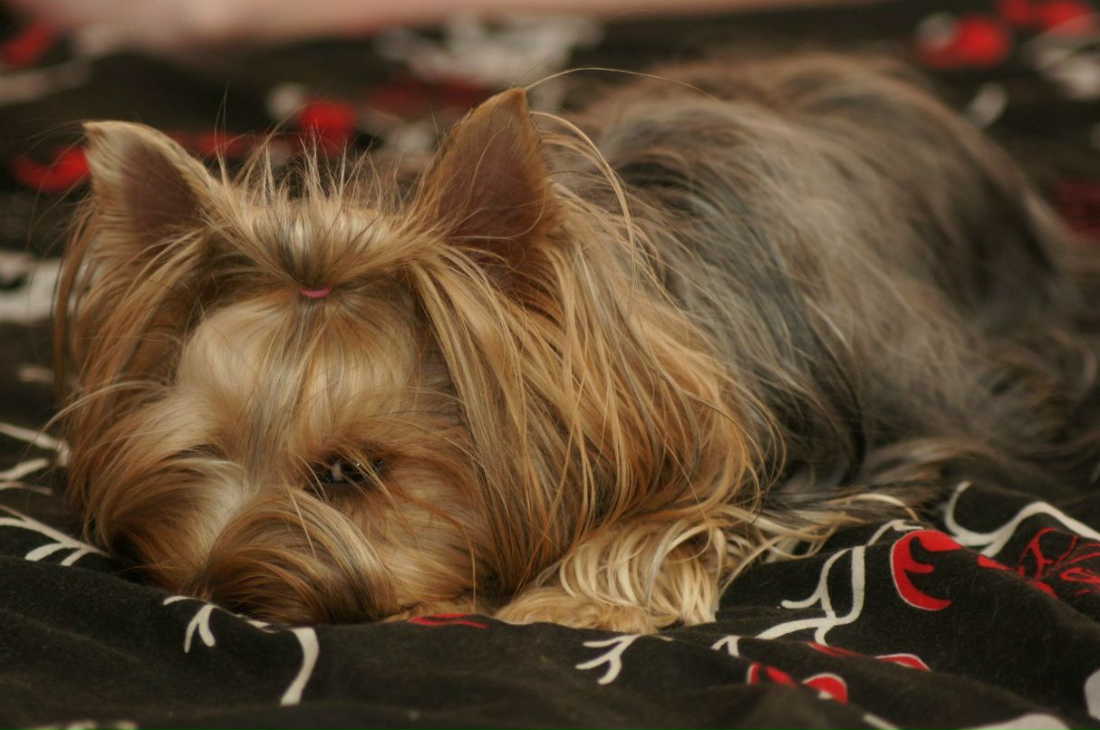 Александр Пушкарёв | Екатеринбург