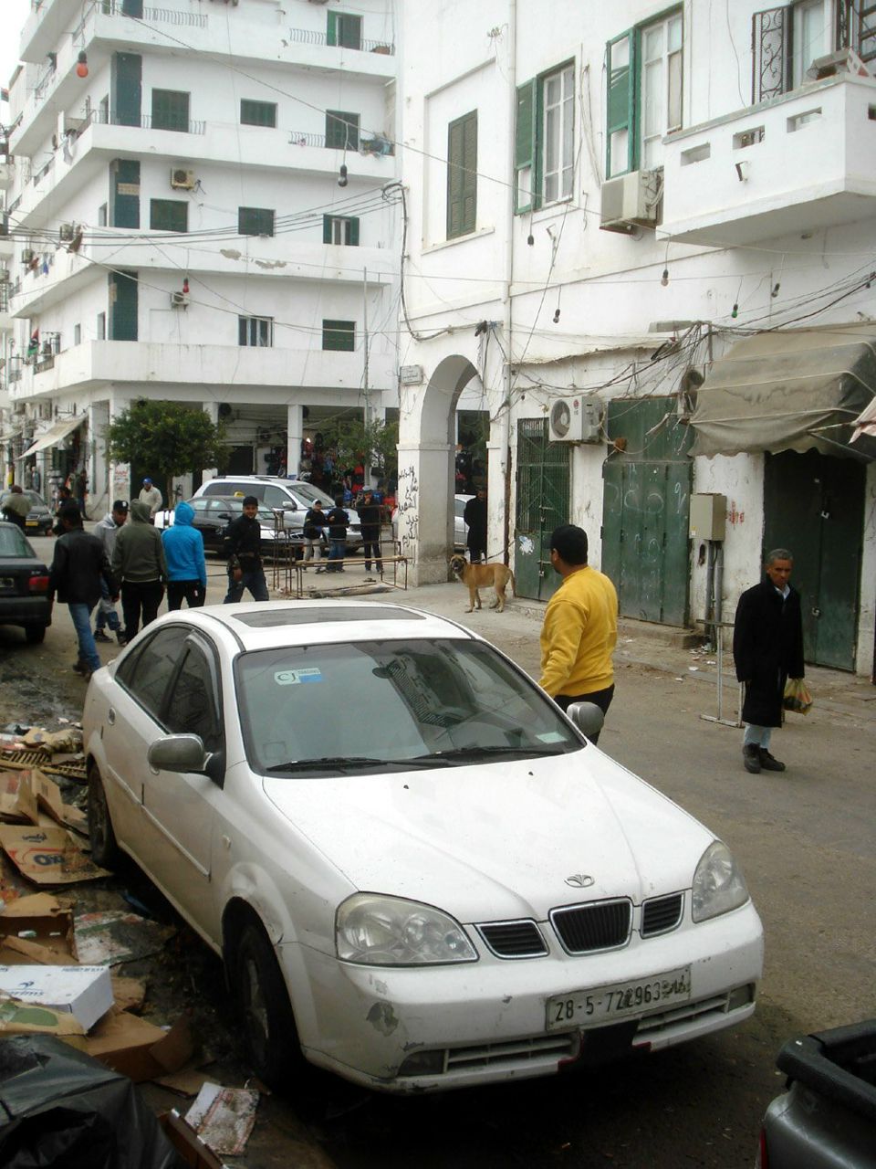 Олег Халайджи | Белая Церковь