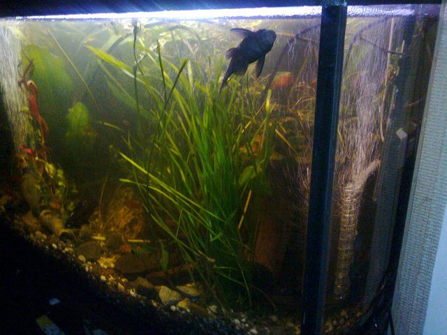 Геннадий Васильев | Псков