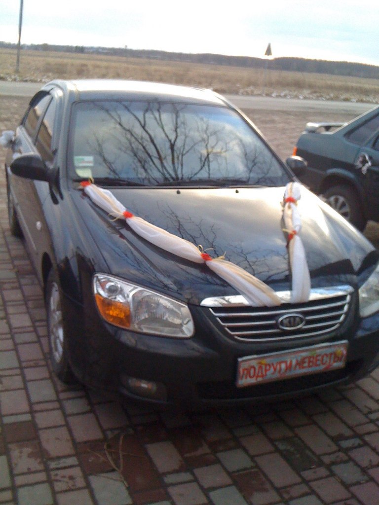 Василь Дзіворонюк | Paris