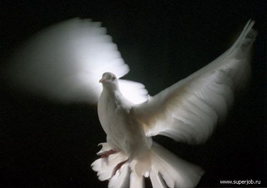 Александра Собянина | Тюмень