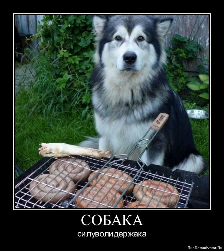 Андрей Лефутуренко | Киев