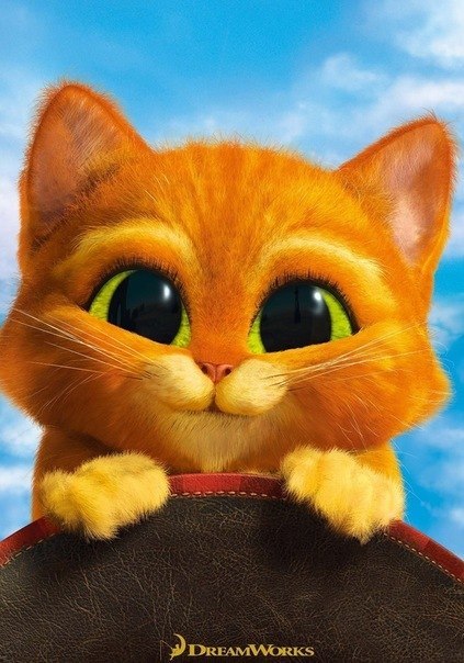 №5, Толя Борисов, Лесосибирск №5, Толя Борисов, Лесосибирск