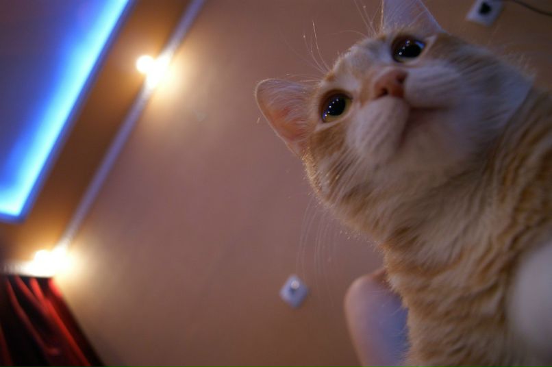 Андрей Самсонов | 