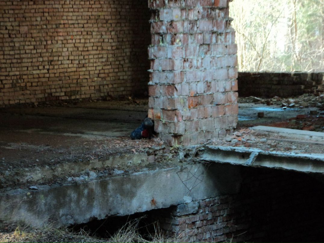 Andriy Millenium ♔★eXcLusivE ★♔ | Львов