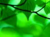 Юля Романенко | Кропивницкий / Кировоград