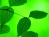 Юля Романенко | Кропивницкий / Кировоград