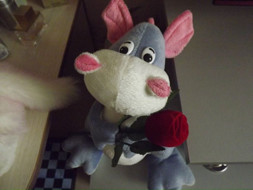 Игорь Федотов | Киев