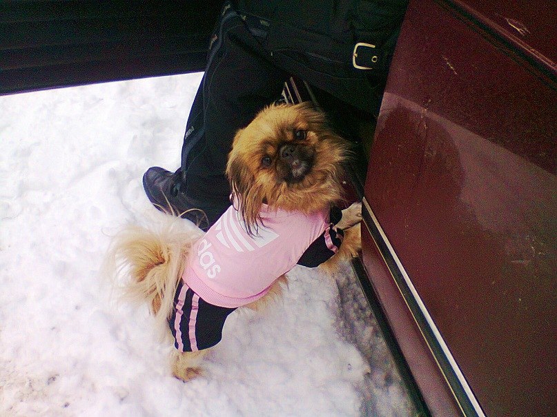 Мар'яна Гусєва | Тернополь