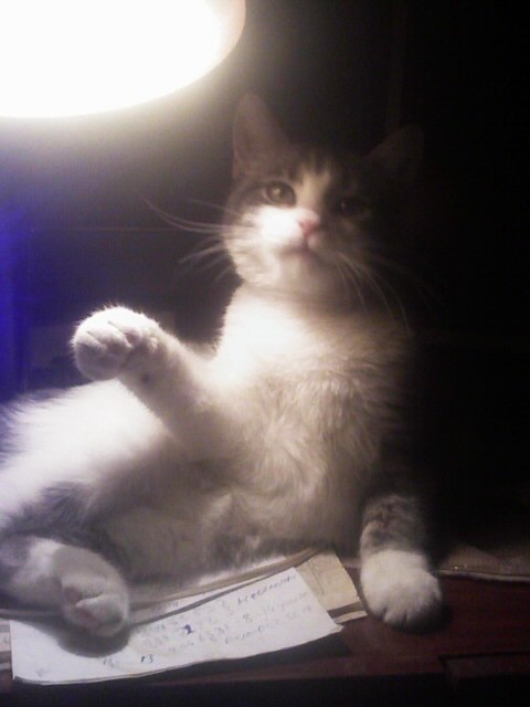 Юрий Ананьин | Санкт-Петербург