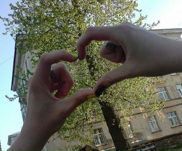 №102, Элина Ефимычева №102, Элина Ефимычева