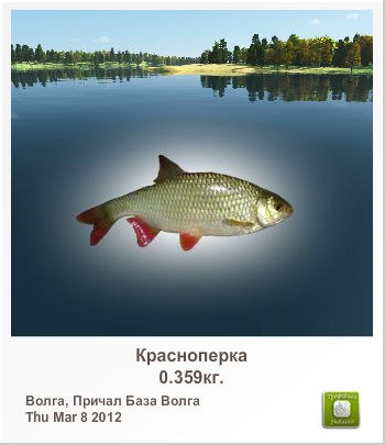 Владислав Логинов Агент007 | Электросталь