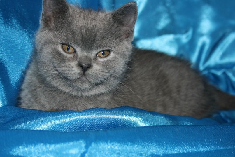 Александра Морозова | Кондопога