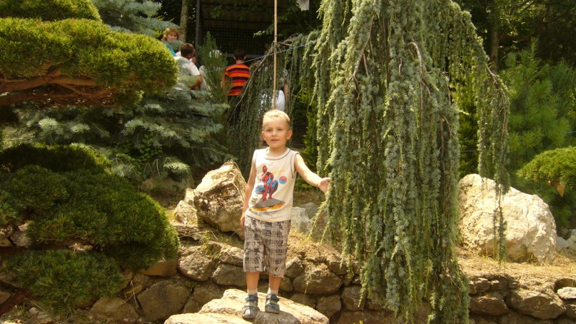 Мария Метелица | Минск