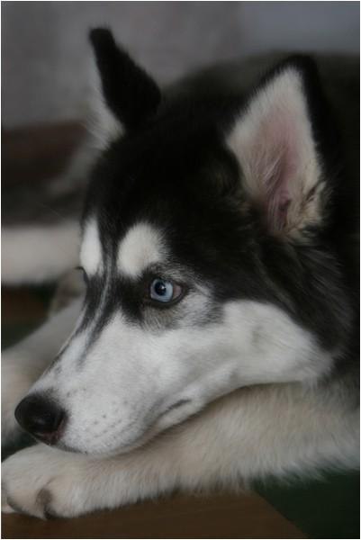 Диана Шагиева | Казань