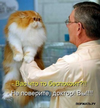 №15, Дарья Байбакова, 37 лет, Волгоград №15, Дарья Байбакова, 37 лет, Волгоград