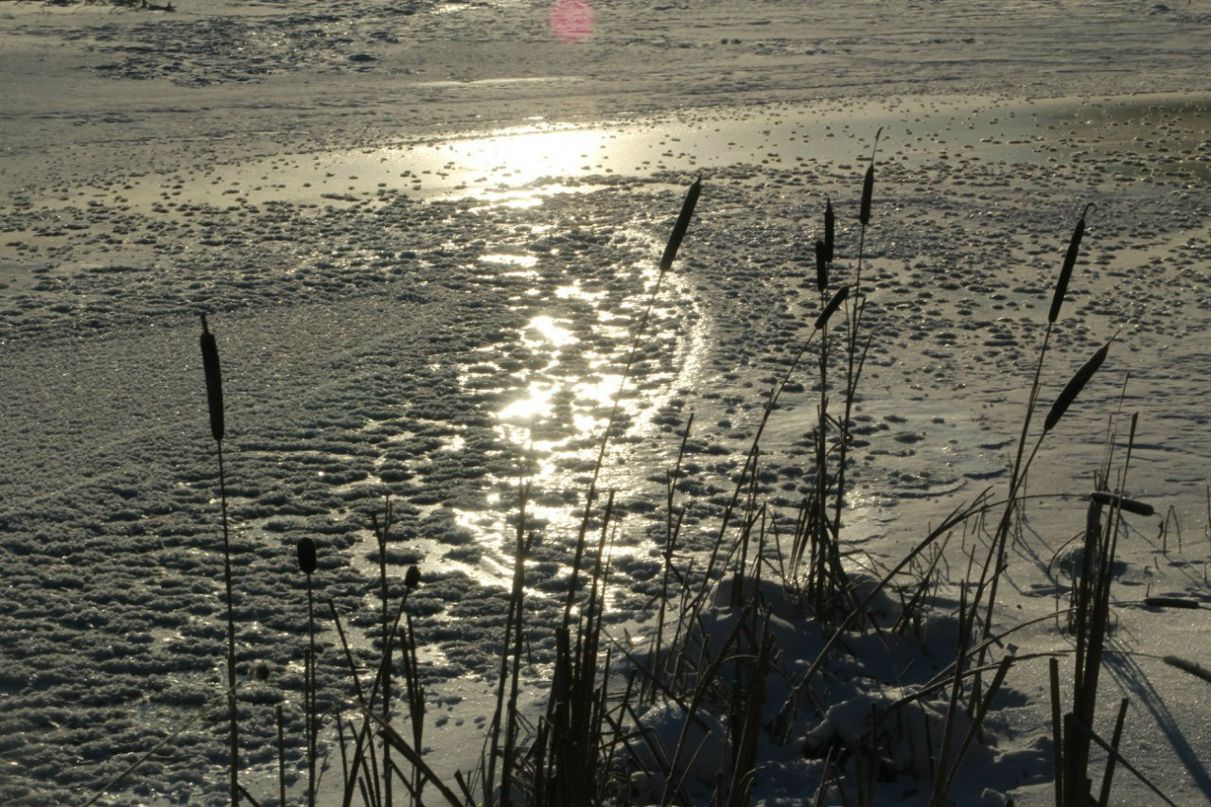 Дмитрий Калмыков | Феодосия