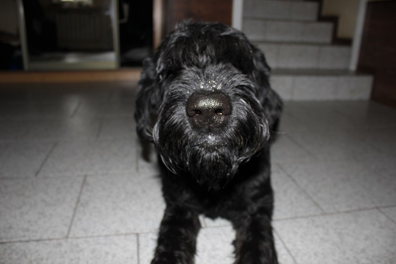 Светлана Кондратьева | Минск